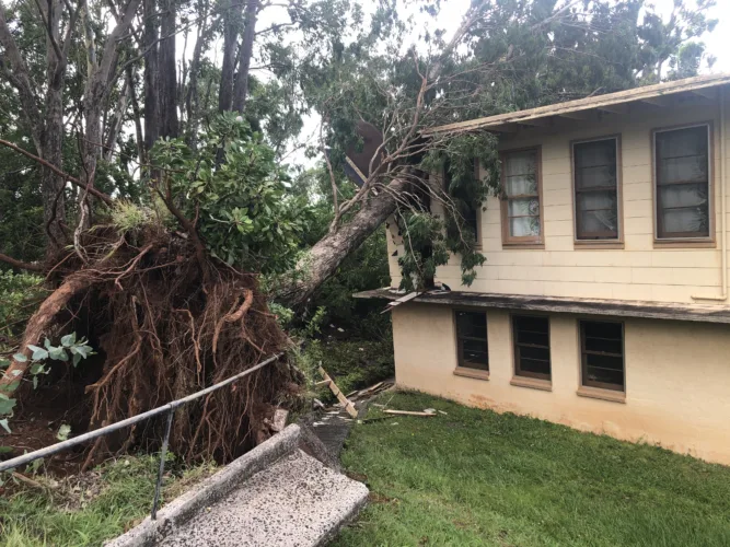 At least 74 damage reports filed on Maui after Lala